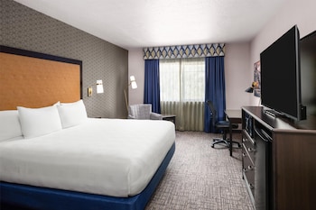 Standard Room, 1 King Bed, Non Smoking, Microwave