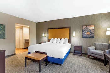 Executive Room, 1 King Bed, Non Smoking, Microwave