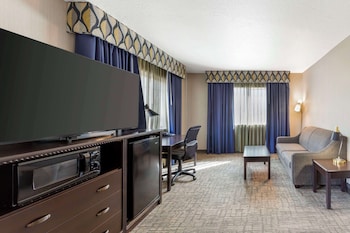 Executive Room, 1 King Bed, Non Smoking, Microwave