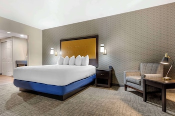 Executive Room, 1 King Bed, Refrigerator & Microwave, Pool View
