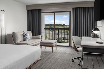 Room, 1 King Bed with Sofa bed