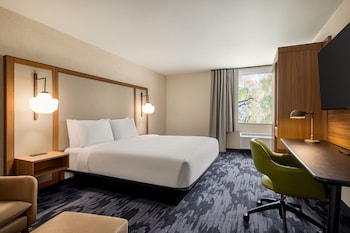 Room, 1 King Bed