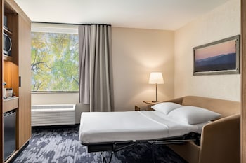 Suite, 1 King Bed with Sofa bed (Hearing Accessible)