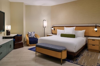 Suite, Accessible (ADA Vista, Roll-In Shower)