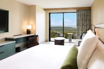 Room (King Rainforest)