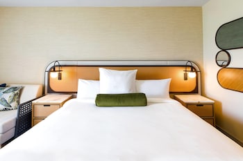 Room (King Rainforest)