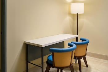 Suite, Accessible (ADA Vista, Roll-In Shower)