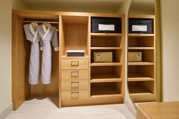 Suite, Accessible (ADA Vista, Roll-In Shower)