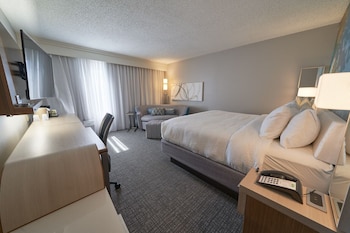 Room, 1 King Bed with Sofa bed