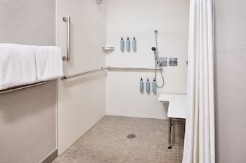 Room, 1 King Bed with Sofa bed (Mobility Accessible, Roll-In Shower)