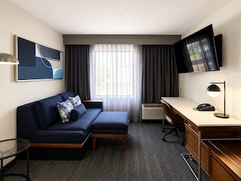 Suite, 1 King Bed with Sofa bed
