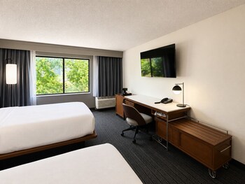 Room, 2 Double Beds (Mobility/Hearing Access, Roll-In Shwr)