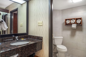 Suite, 1 King Bed with Sofa bed, Non Smoking, Refrigerator & Microwave (with Sofabed)