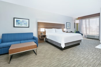 Standard Room, 1 King Bed with Sofa bed