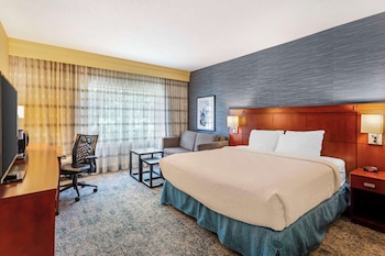 Standard Room, 1 King Bed, Accessible, Refrigerator