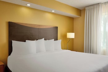 Executive Suite, 1 King Bed with Sofa bed
