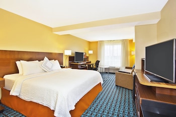Suite, 1 King Bed with Sofa bed
