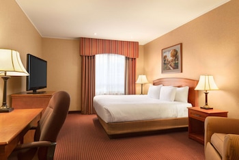 Room, 1 King Bed, Non Smoking