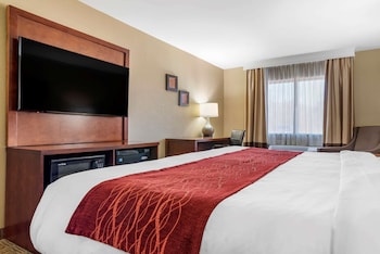Standard Room, 1 King Bed, Non Smoking