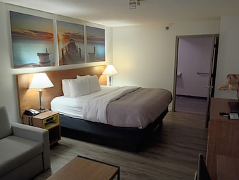 Room, 1 King Bed, Accessible, Non Smoking (Roll-In Shower)