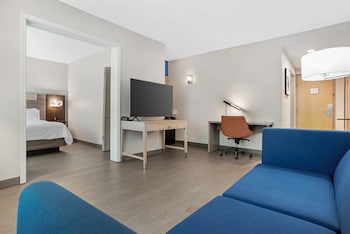 Suite, 1 Queen Bed with Sofa bed