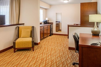 Suite, 1 King Bed, Non Smoking (Wet Bar)