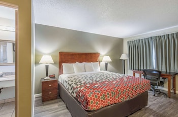 Room, 1 King Bed, Non Smoking