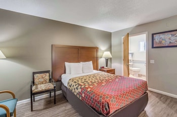 Standard Room, 1 Queen Bed, Non Smoking