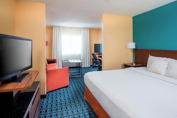 Executive Suite, 1 King Bed with Sofa bed