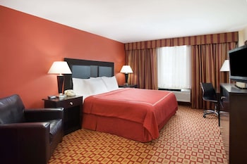 Room, 1 King Bed, Non Smoking