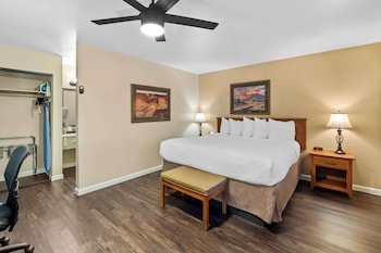 Standard Room, 1 King Bed, Non Smoking