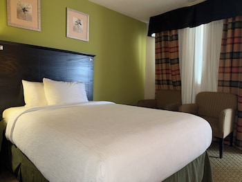 Room, 1 Queen Bed, Accessible, Non Smoking