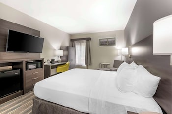 Standard Room, 1 Queen Bed, Non Smoking