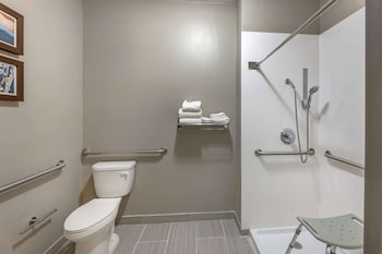 Comfort Room, 1 King Bed, Non Smoking (Accessible)