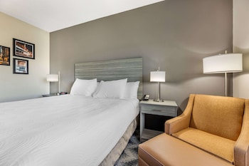 Comfort Room, 1 King Bed, Non Smoking (Accessible)