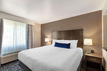 Suite, 1 King Bed with Sofa bed, Non Smoking, Refrigerator & Microwave (with Sofabed)