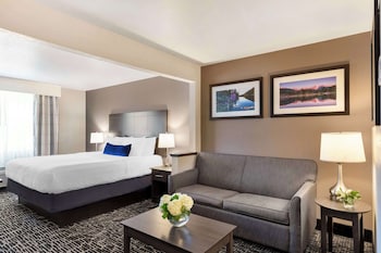 Suite, 1 King Bed with Sofa bed, Non Smoking, Refrigerator & Microwave (with Sofabed)