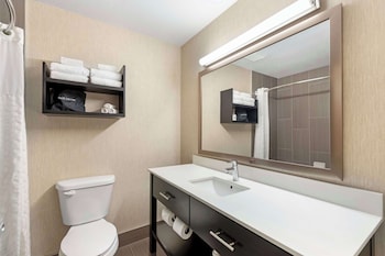 Suite, 1 King Bed with Sofa bed, Non Smoking, Refrigerator & Microwave (with Sofabed)