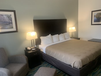 Room, 1 King Bed, Accessible, Non Smoking