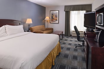 Standard Room, 1 King Bed, Accessible (Mobility, Accessible Tub)