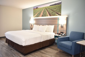 Standard Room, 1 King Bed, Non Smoking