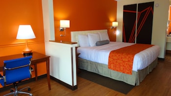 Room, 1 King Bed, Non Smoking