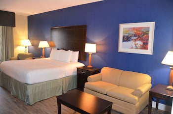 Suite, 1 King Bed