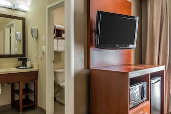 Suite, 1 King Bed, Non Smoking
