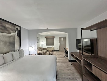 Standard Room, 1 Queen Bed, Non Smoking (with Single Sofabed)