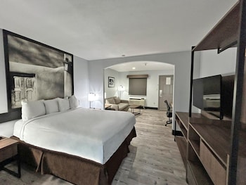 Standard Room, 1 Queen Bed, Non Smoking (with Single Sofabed)