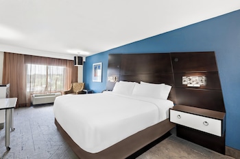 Standard Room, 1 King Bed, Accessible (Comm)