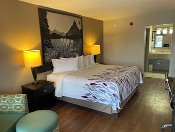 Deluxe Room, 1 King Bed, Accessible, Non Smoking (Roll-in Shower)