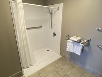 Deluxe Room, 1 King Bed, Accessible, Non Smoking (Roll-in Shower)