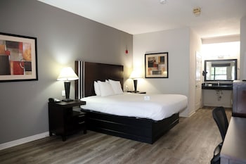 Suite, 1 King Bed, Non Smoking (Mini)